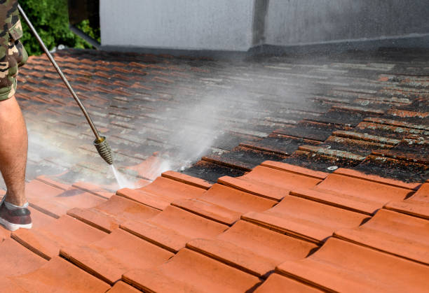 Best Residential Pressure Washing Services  in Solomons, MD