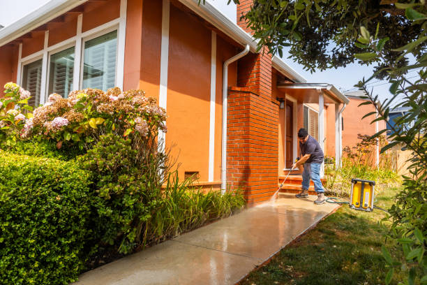 Best House Pressure Washing  in Solomons, MD